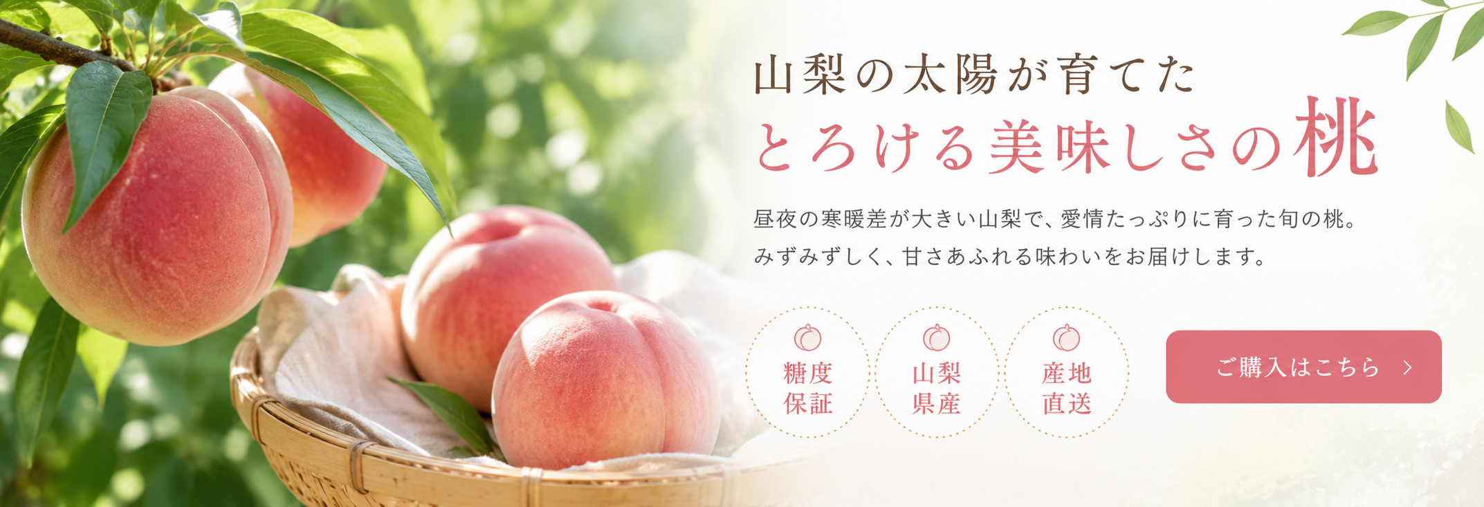 法人向け桃の購入はこちら