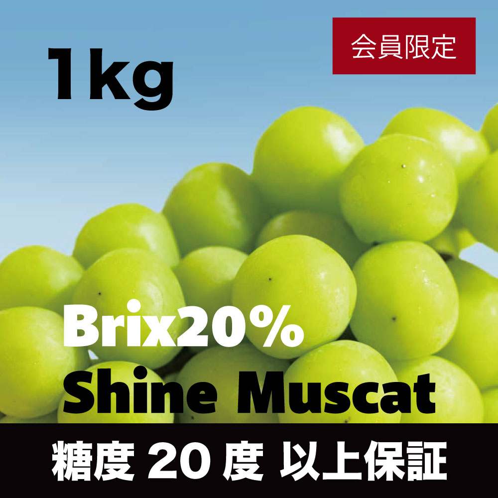 20度シャインマスカット【約1kg/2～3房/糖度20度保証】  EC014（税込）