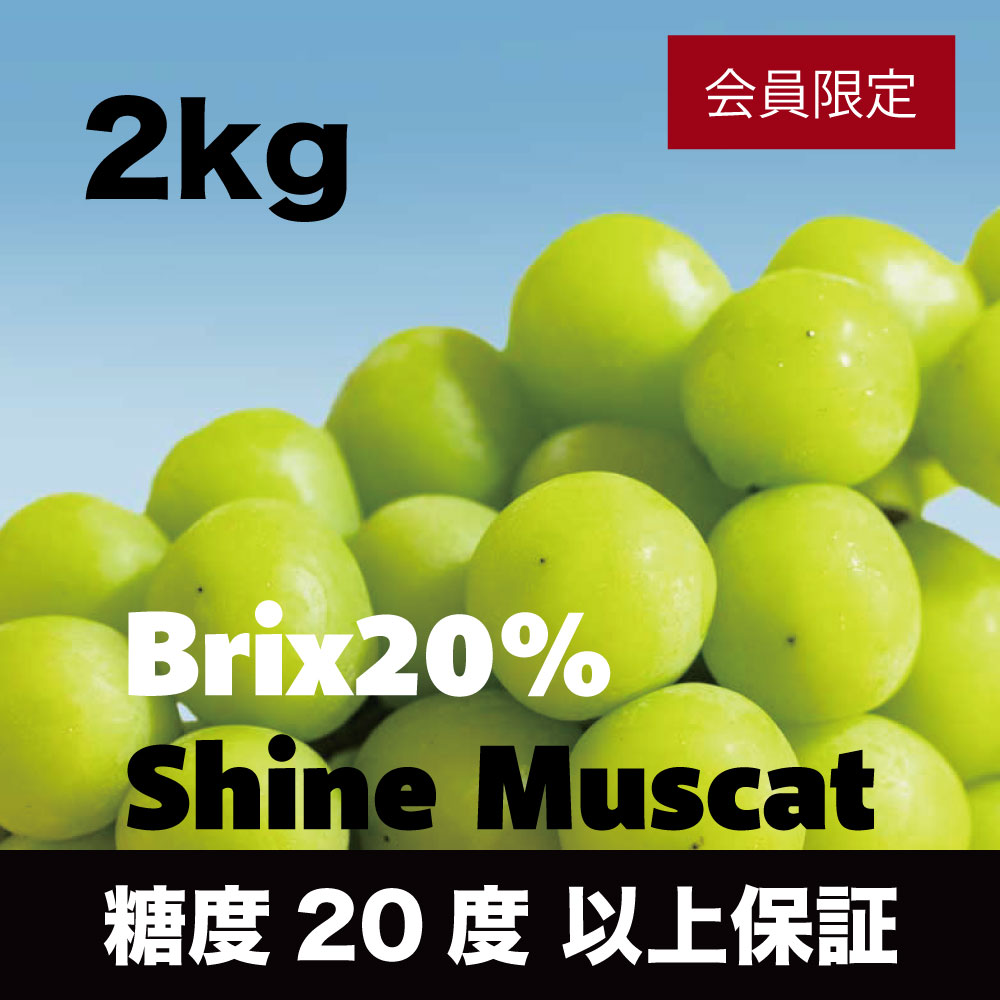 20度シャインマスカット【約2kg/2～5房/糖度20度保証 】EC015（税込）