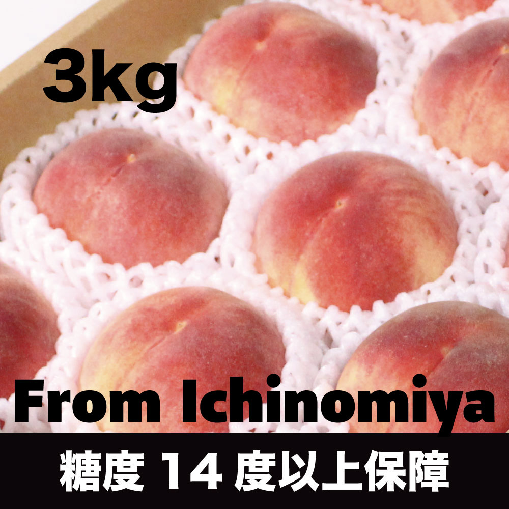 山梨県一宮産の高級桃 約3kg 糖度14度保証の贈答用白桃