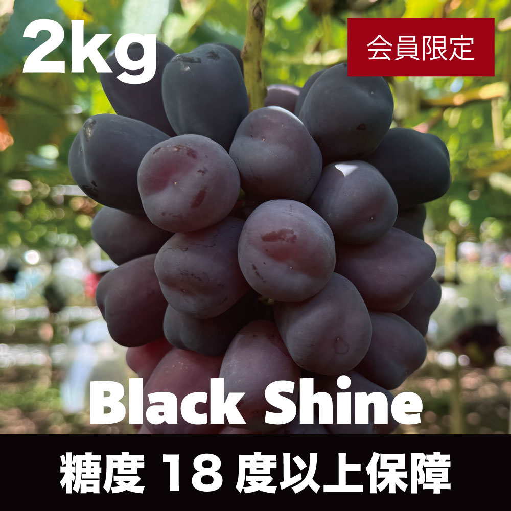 山梨県産ブラックシャインマスカット 糖度18度保証の会員限定高級黒ぶどうギフト