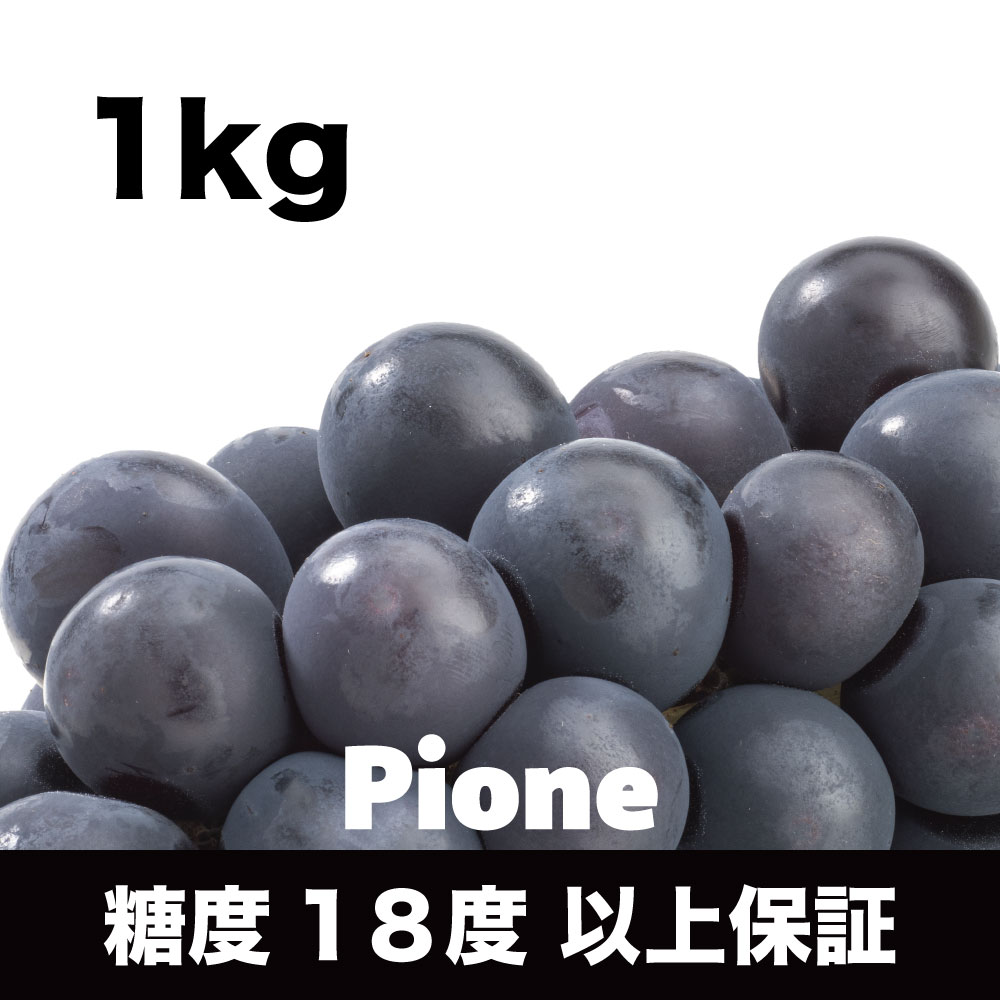 ピオーネ【約1kg/2～3房/糖度18度保証】EC012（税込）