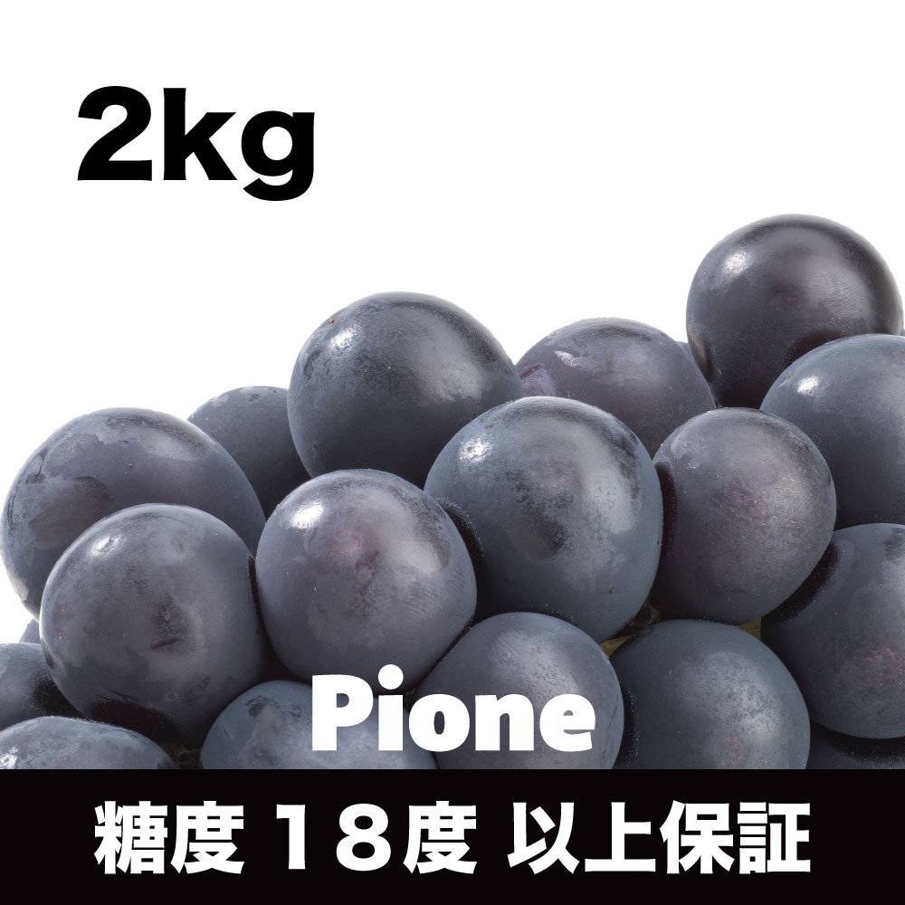 ピオーネ【約2kg/3～5房/糖度18度保証】EC013（税込）