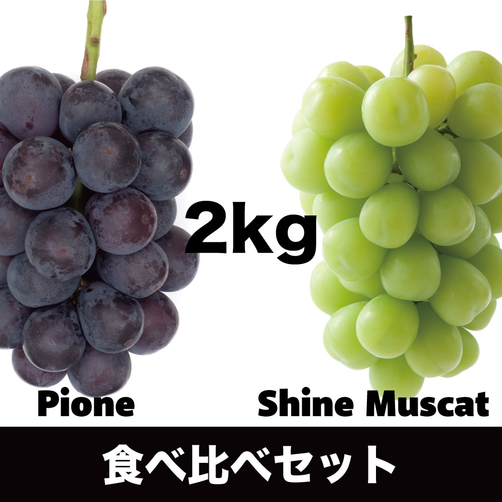 シャインマスカット・ピオーネ【約2kg/2～5房】EC021（税込）