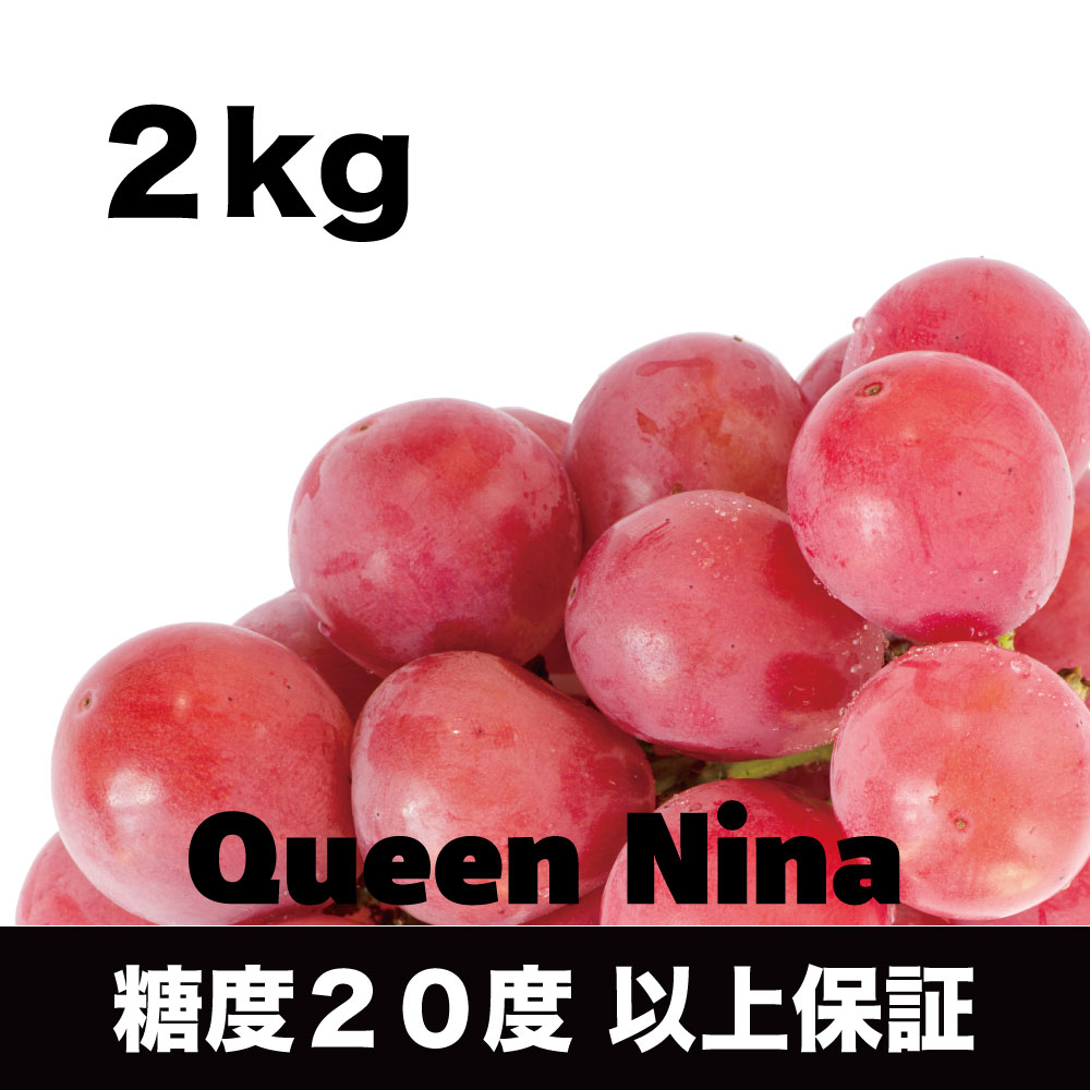 クイーンニーナ【約2kg/2～5房/糖度20度保証 】EC011（税込）