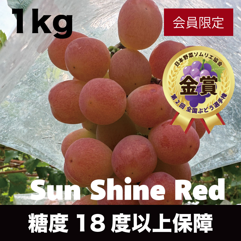 山梨県産サンシャインレッド 糖度18度保証の会員限定高級赤ぶどうギフト